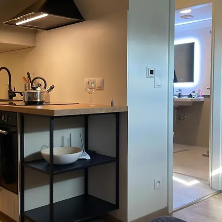 Apartamento útulný Podkrovní Ateliér Se Zahradou *